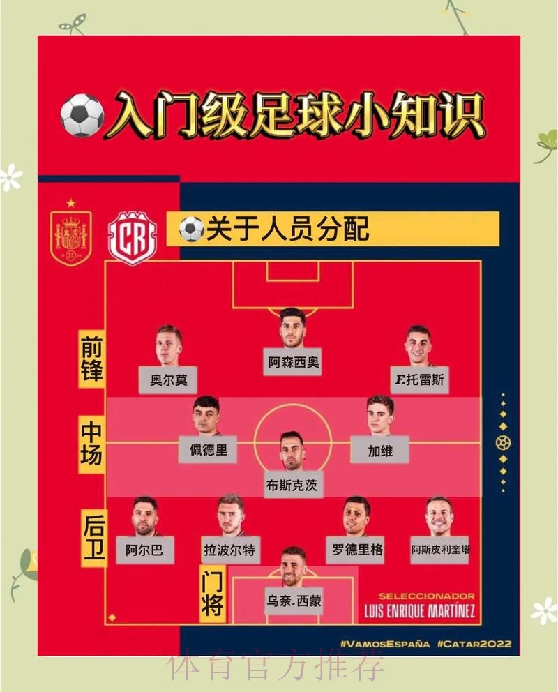 世界杯滚球最新动态与策略的实操指南